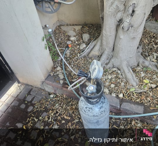בלון גז עם מד לחץ ליד עץ וצינור